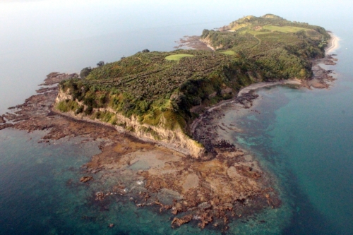  Figure 2 – Aerial view of the Island after completion of the pioneer planting. (Photo by Toby Shanley) 