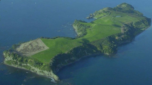 Figure 1 – Aerial view of the Island before planting began. Area to bottom left has been sprayed in preparation for planting (Photo from cover of 2007 Motuora Native Species Restoration Plan).